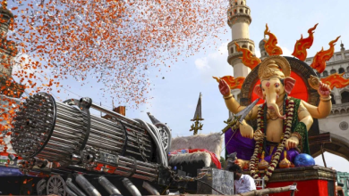 Ganesh immersions