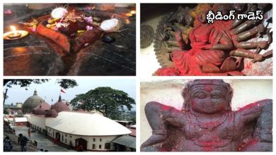 Kamakhya