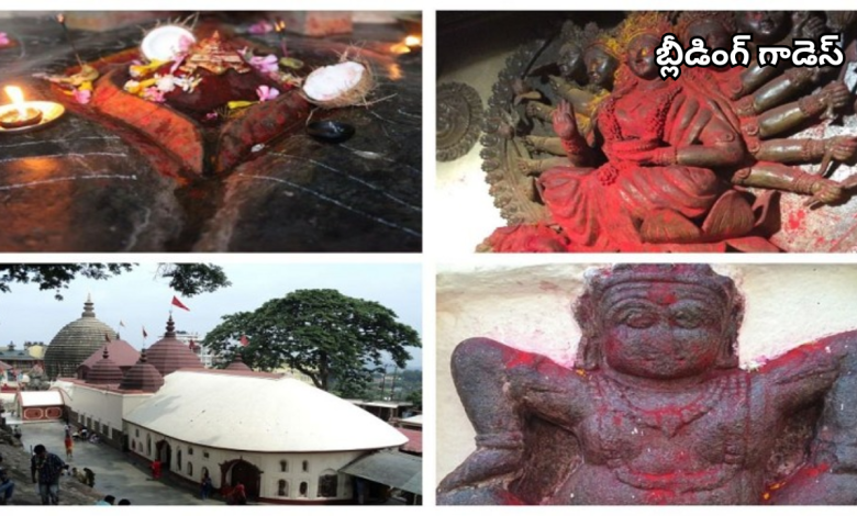 Kamakhya