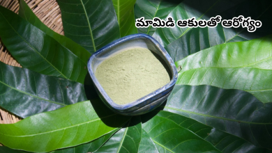 Mango leaves