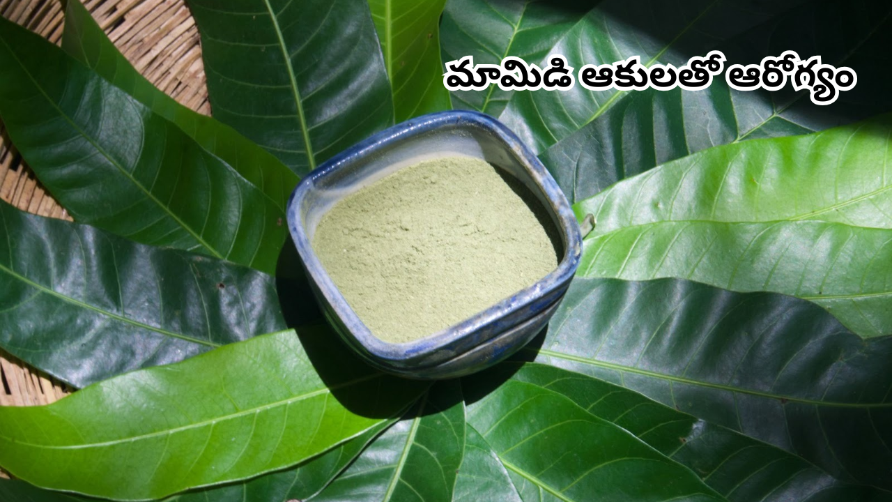 Mango leaves
