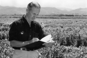 Norman Borlaug