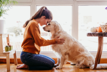 Pet therapy
