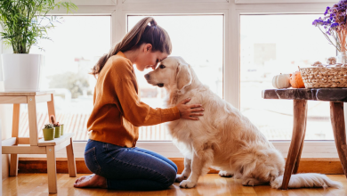 Pet therapy