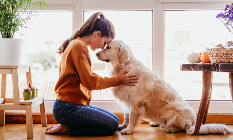 Pet therapy