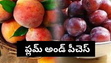 Plums and Peaches