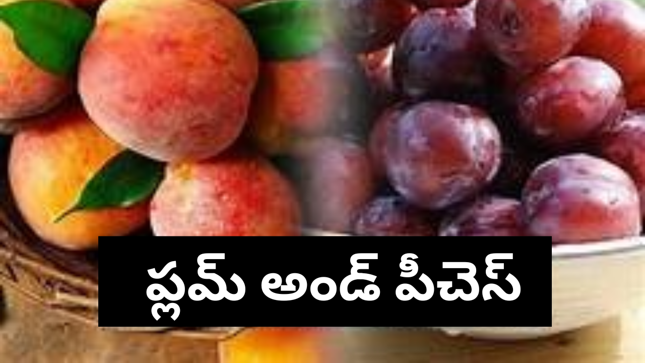 Plums and Peaches