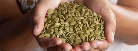 Pumpkin seeds