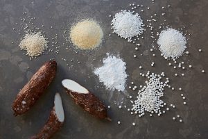 Sabudana