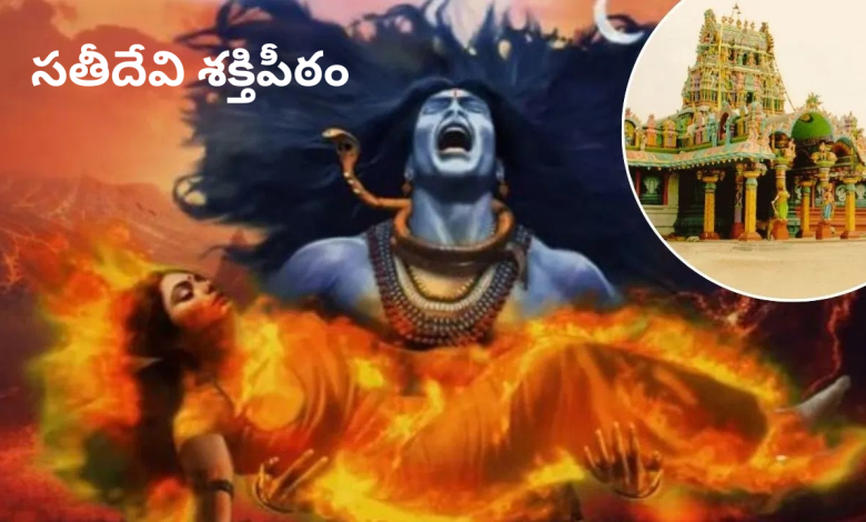 Sati Devi