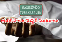 Turakapalem