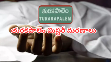 Turakapalem