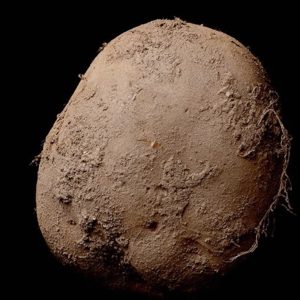 potato