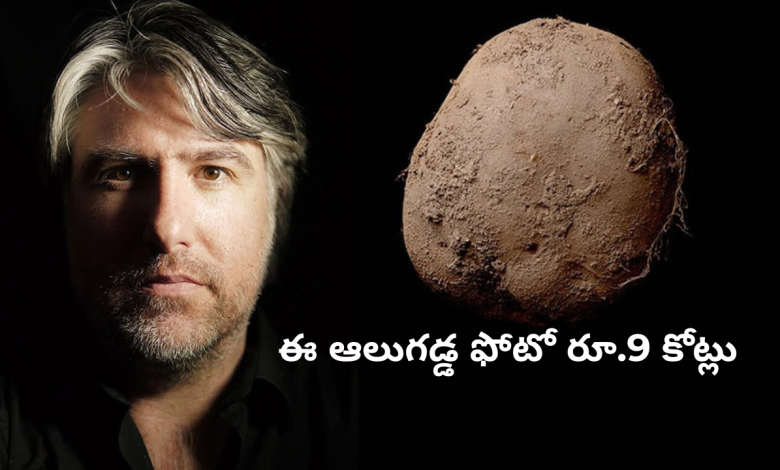 potato