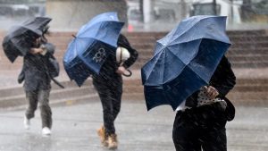 rains