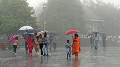 rains