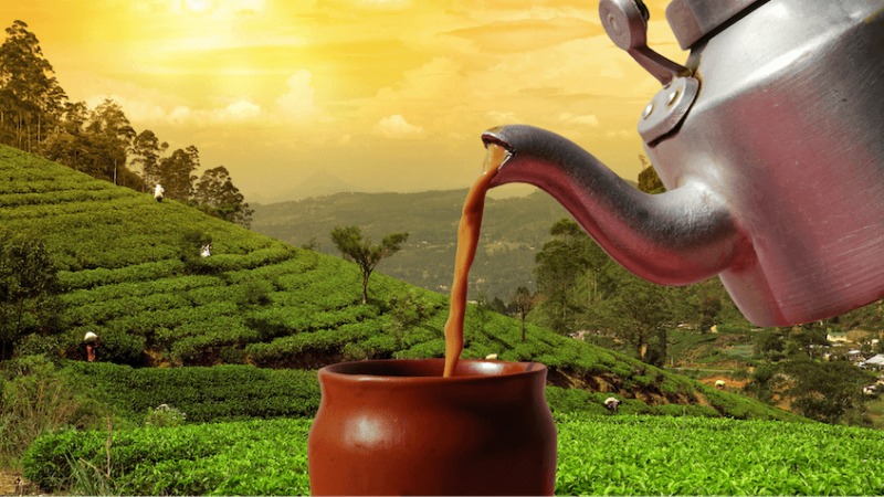 Assam-tea