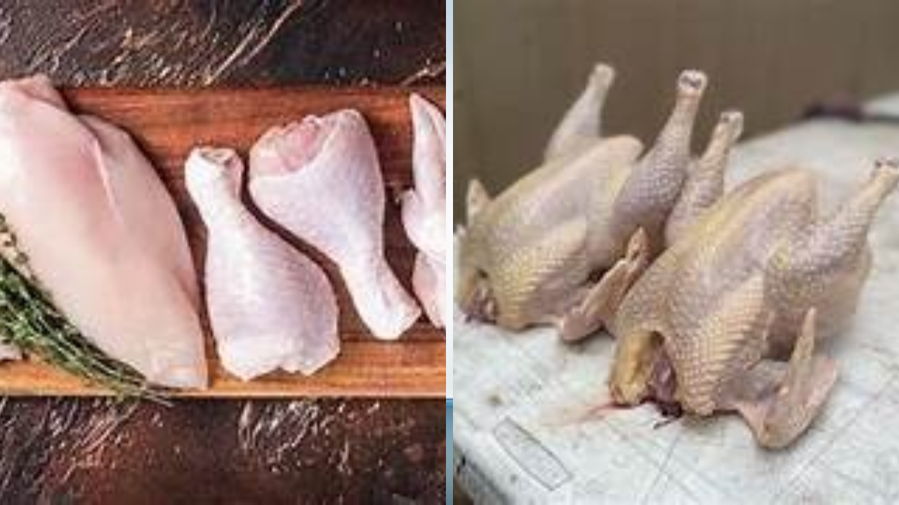 Chicken