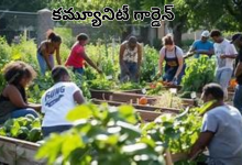 Community garden