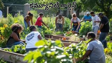 Community garden