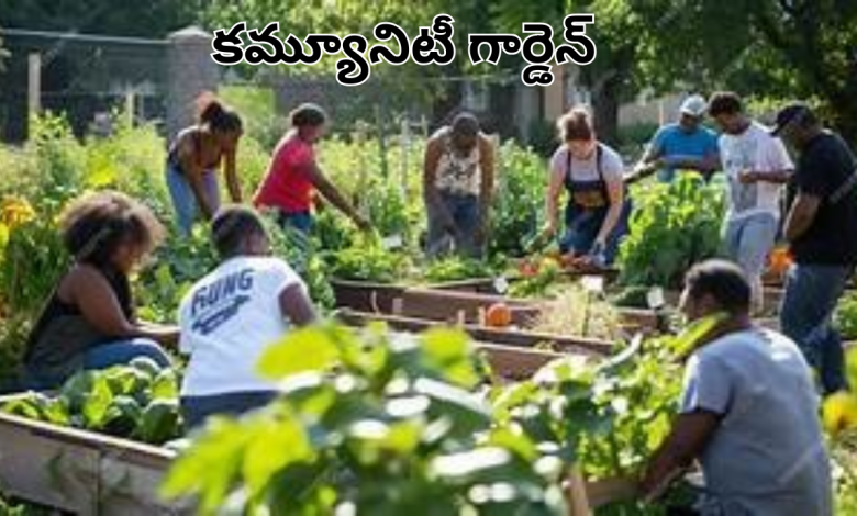 Community garden
