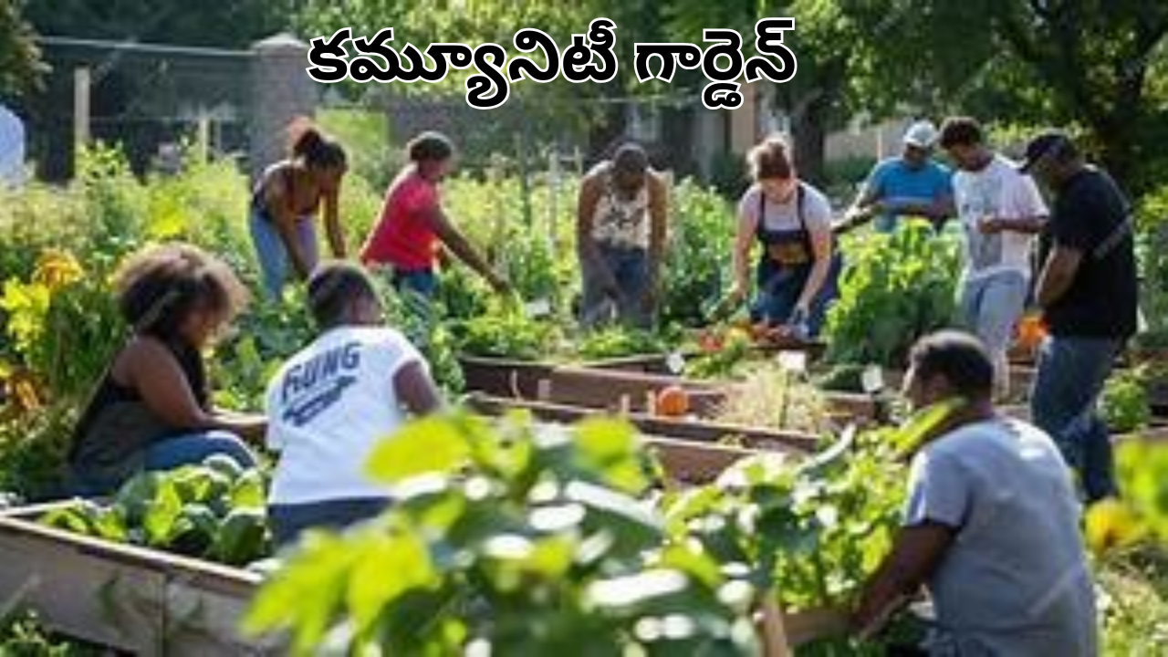 Community garden