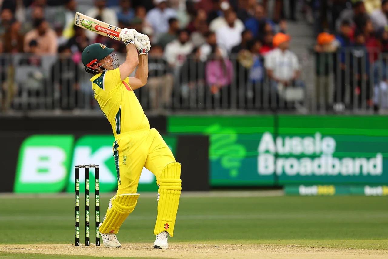 Cricket 