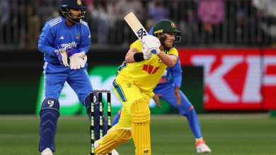 Cricket