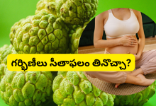 Custard apple