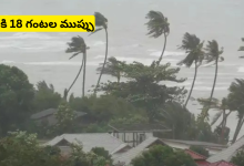 Cyclone
