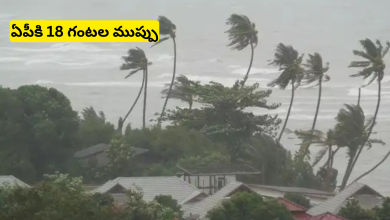 Cyclone
