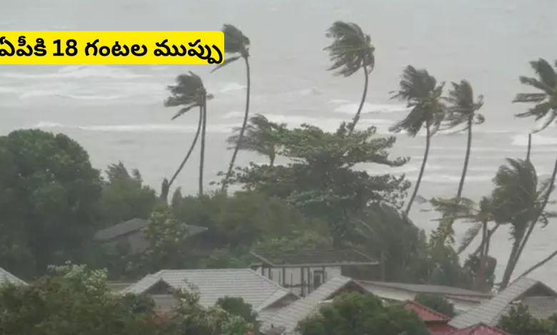Cyclone
