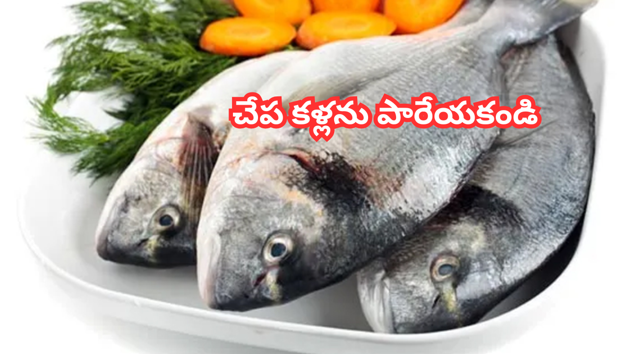 Fish Eyes