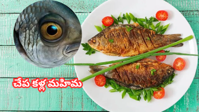 Fish Eyes
