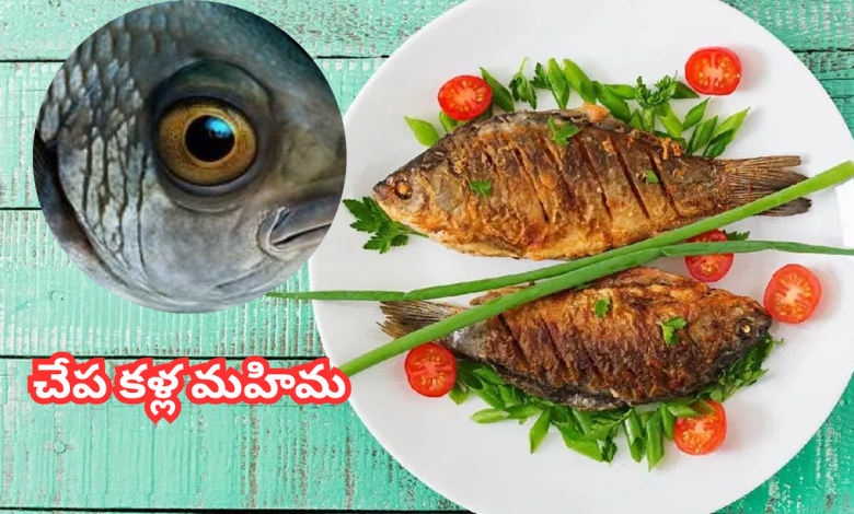 Fish Eyes