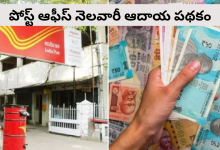 Income Scheme