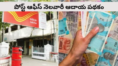 Income Scheme