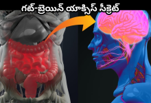 Microbiome