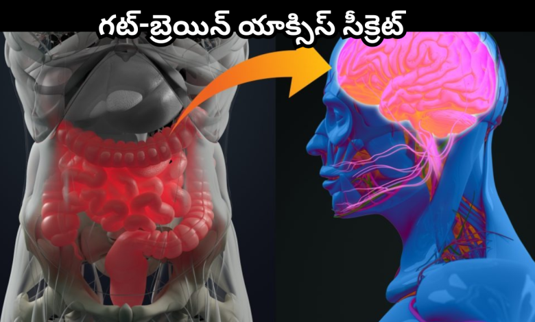 Microbiome