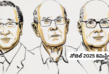 Nobel Prize