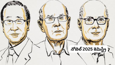 Nobel Prize