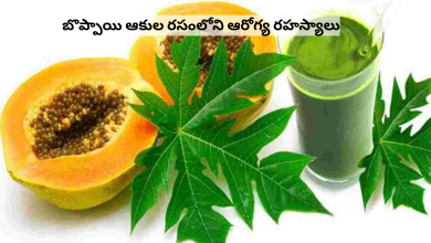 Papaya leaf juice