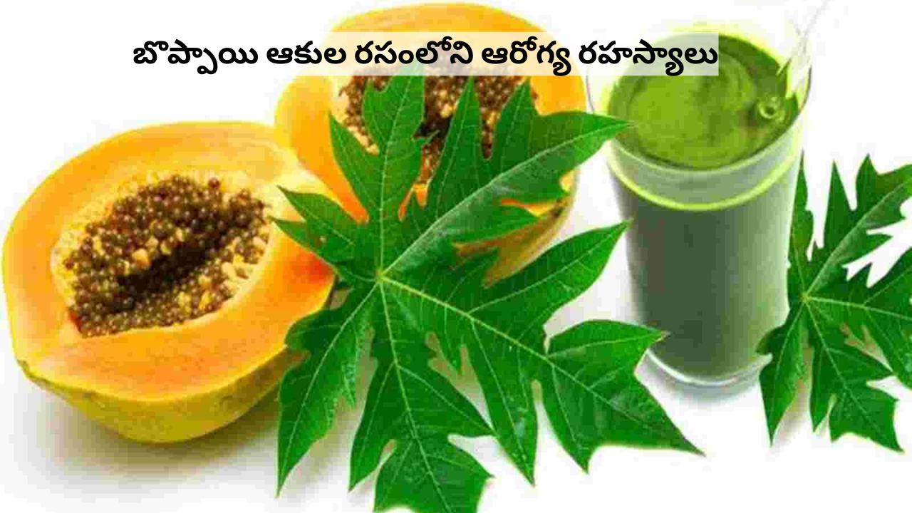 Papaya leaf juice