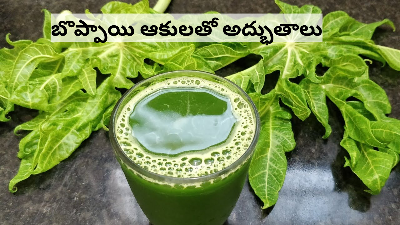 Papaya leaf juice