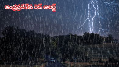 Rains