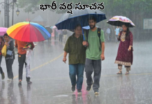 Rains