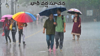 Rains