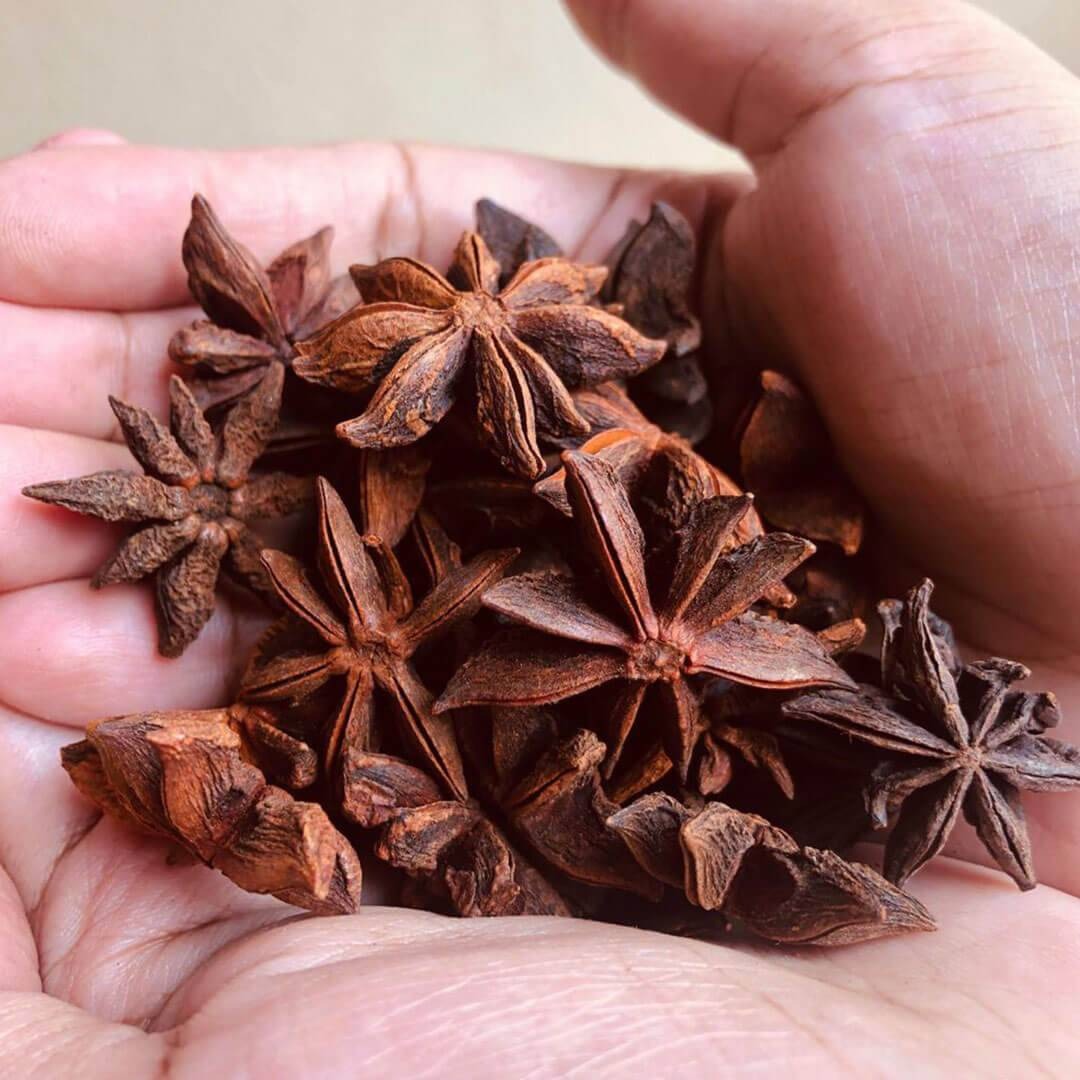 Star Anise
