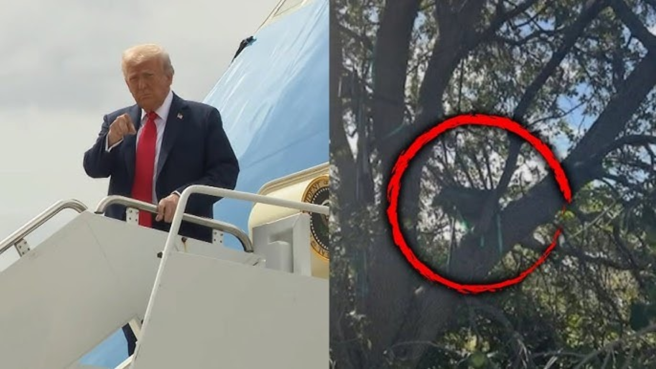 Trump