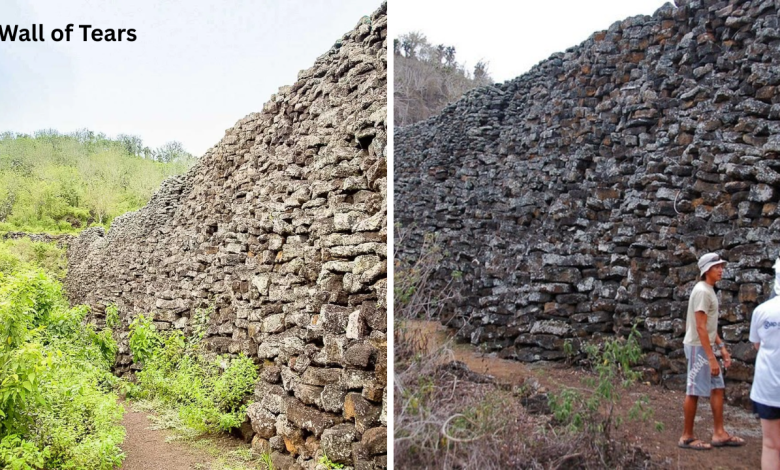 Wall of Tears